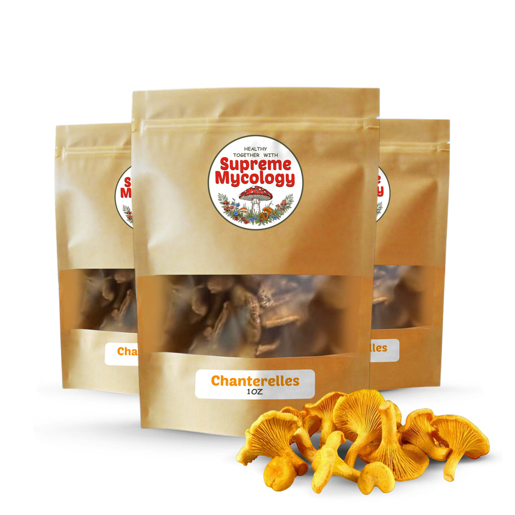 Dried Chanterelle Mushrooms