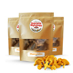 Dried Chanterelle Mushrooms