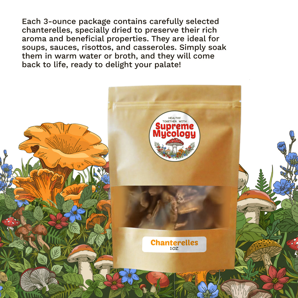 Dried Chanterelle Mushrooms