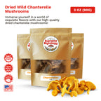 Dried Chanterelle Mushrooms
