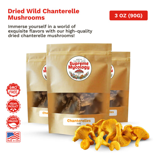 Dried Chanterelle Mushrooms