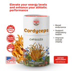 Organic Cordyceps Mushroom Capsules