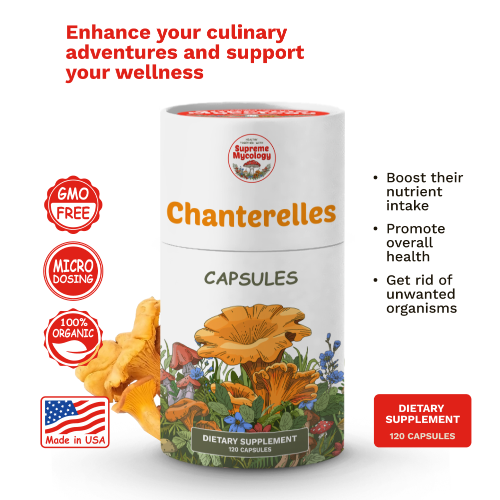 Organic Wild Chanterelle Mushroom Capsules