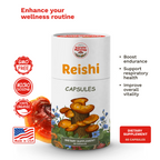 Organic Reishi Mushroom Capsules