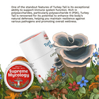 Organic Turkey Tail Mushroom Capsules