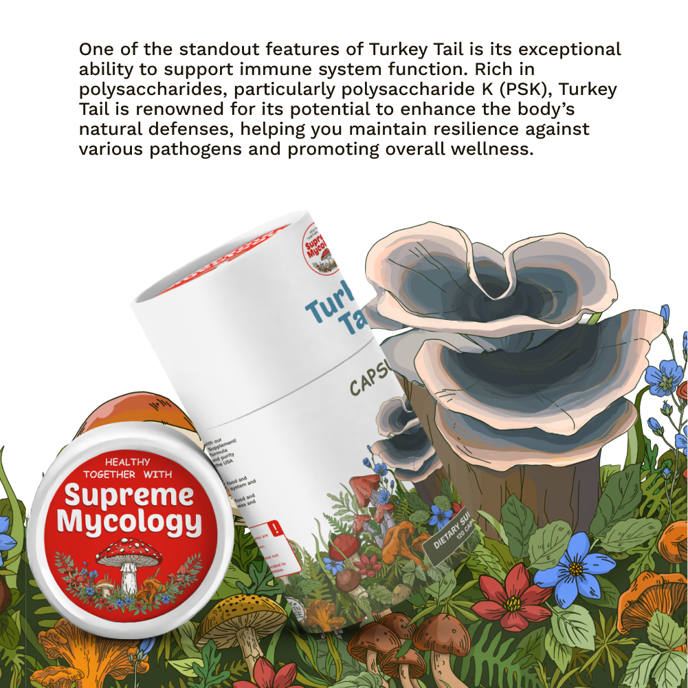 Organic Turkey Tail Mushroom Capsules