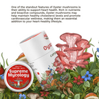 Organic Oyster Mushroom Capsules