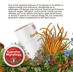 Organic Cordyceps Mushroom Capsules