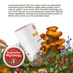 Organic Reishi Mushroom Capsules