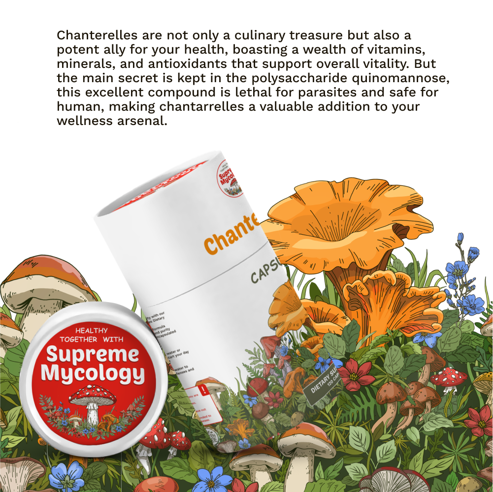 Organic Wild Chanterelle Mushroom Capsules