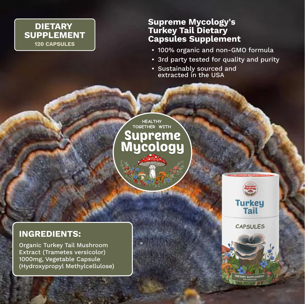 Organic Turkey Tail Mushroom Capsules