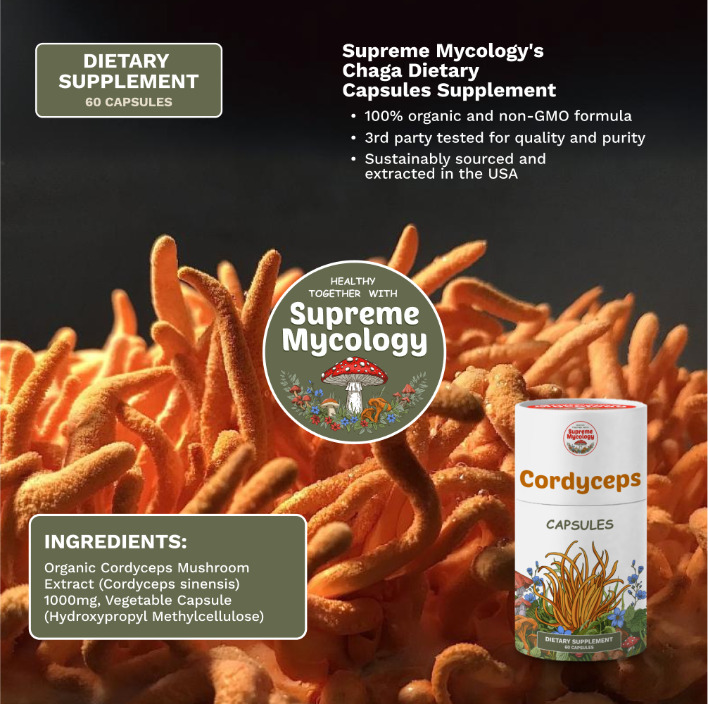 Organic Cordyceps Mushroom Capsules