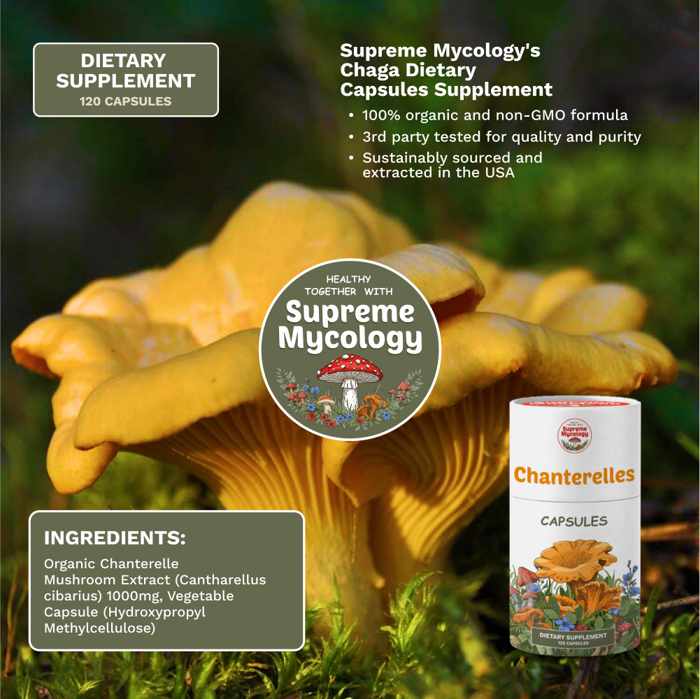 Organic Wild Chanterelle Mushroom Capsules