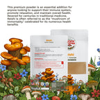 Organic Reishi Mushroom Micro Powder