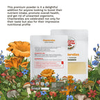 Organic Wild Chanterelle Mushroom Micro Powder