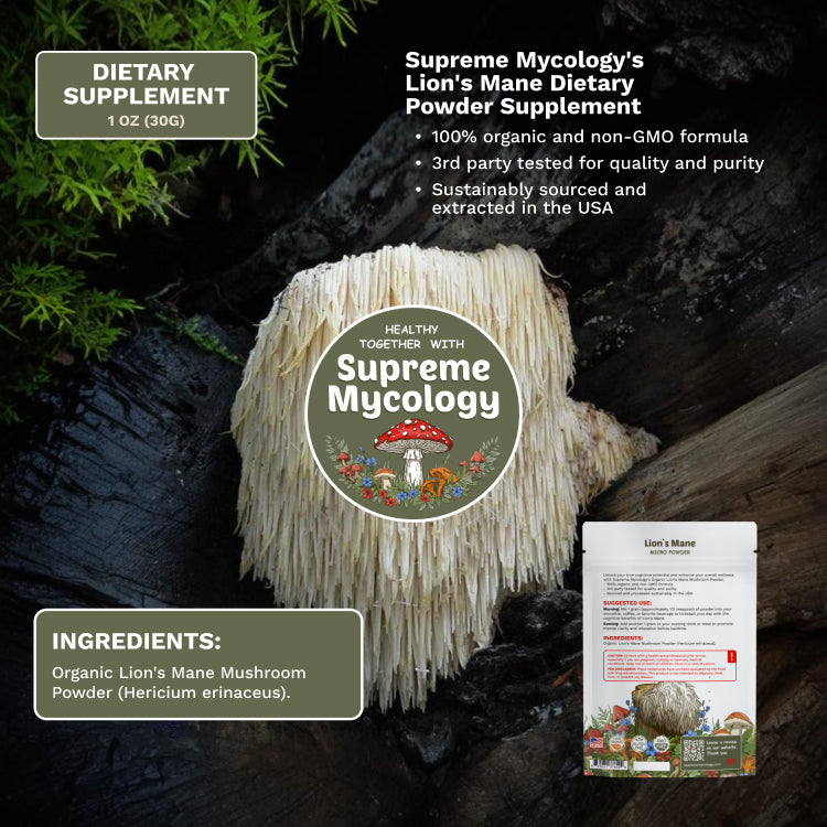 Organic Lion's Mane Mushroom Micro Powder