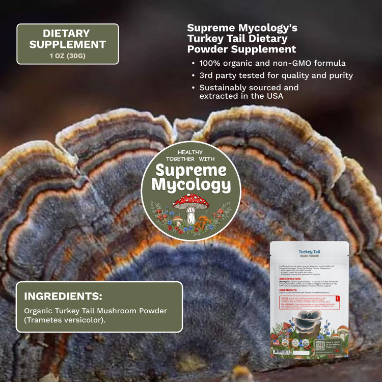 Organic Turkey Tail Mushroom Micro Powder