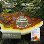 Organic Reishi Mushroom Micro Powder