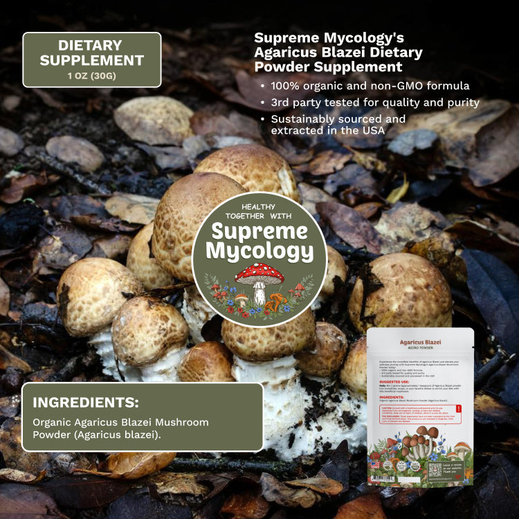 Organic Agaricus Blazei Mushroom Micro Powder