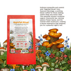 Nightfall Ritual | Organic Reishi Chamomile Tea