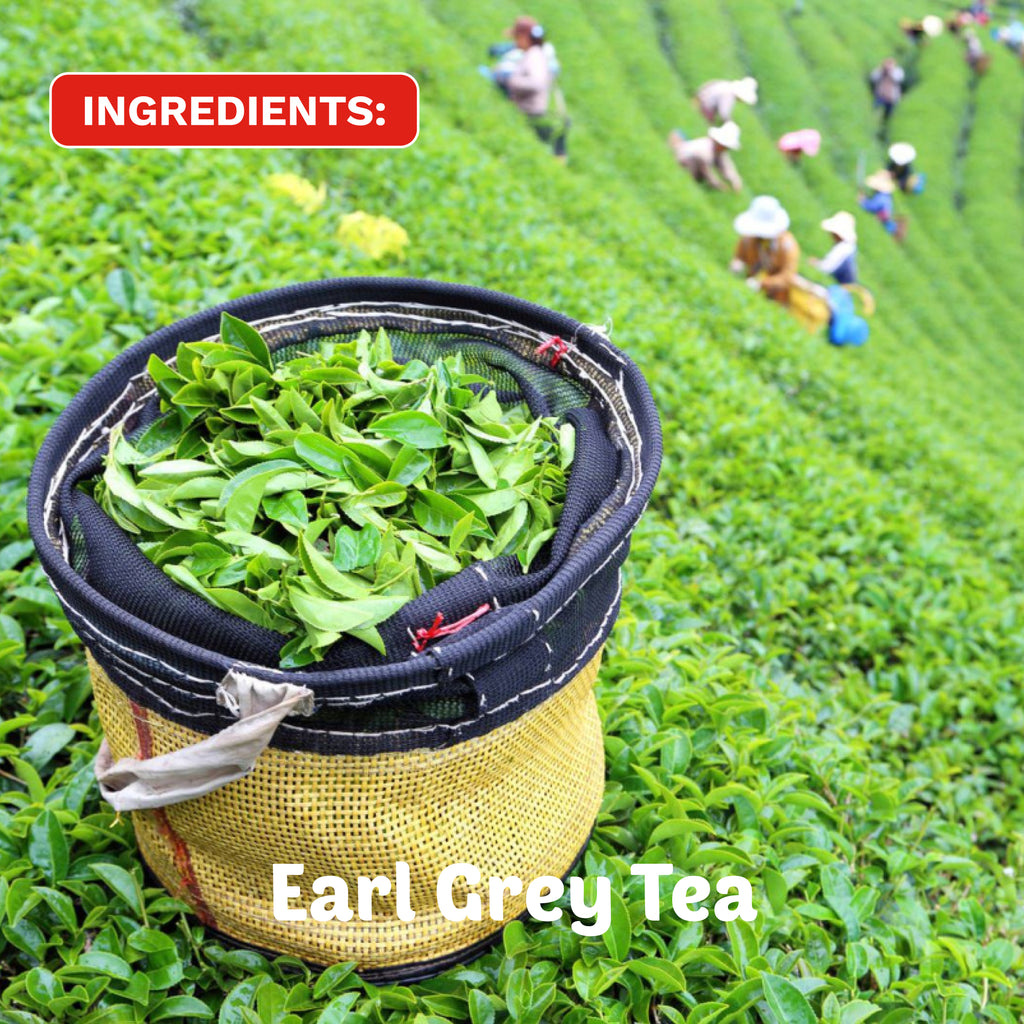 Dominate the Day | Organic Cordyceps Earl Grey Tea
