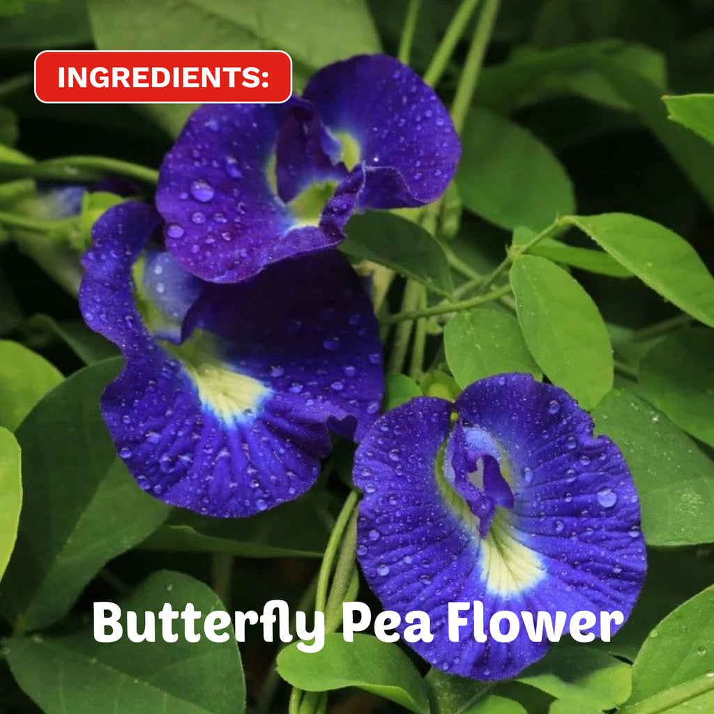 Floral Blue Fusion | Organic Lion's Mane Herbal Tea