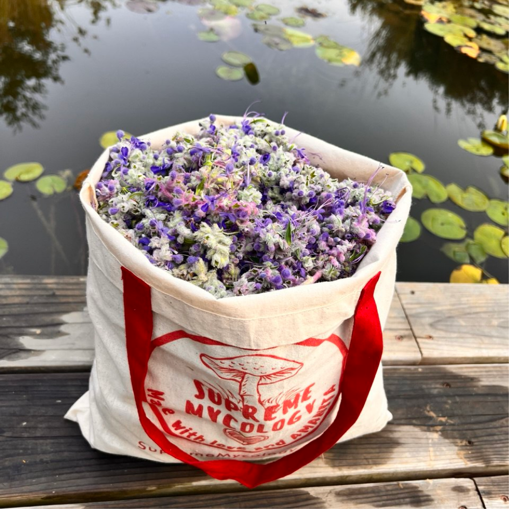 Floral Blue Fusion | Organic Lion's Mane Herbal Tea