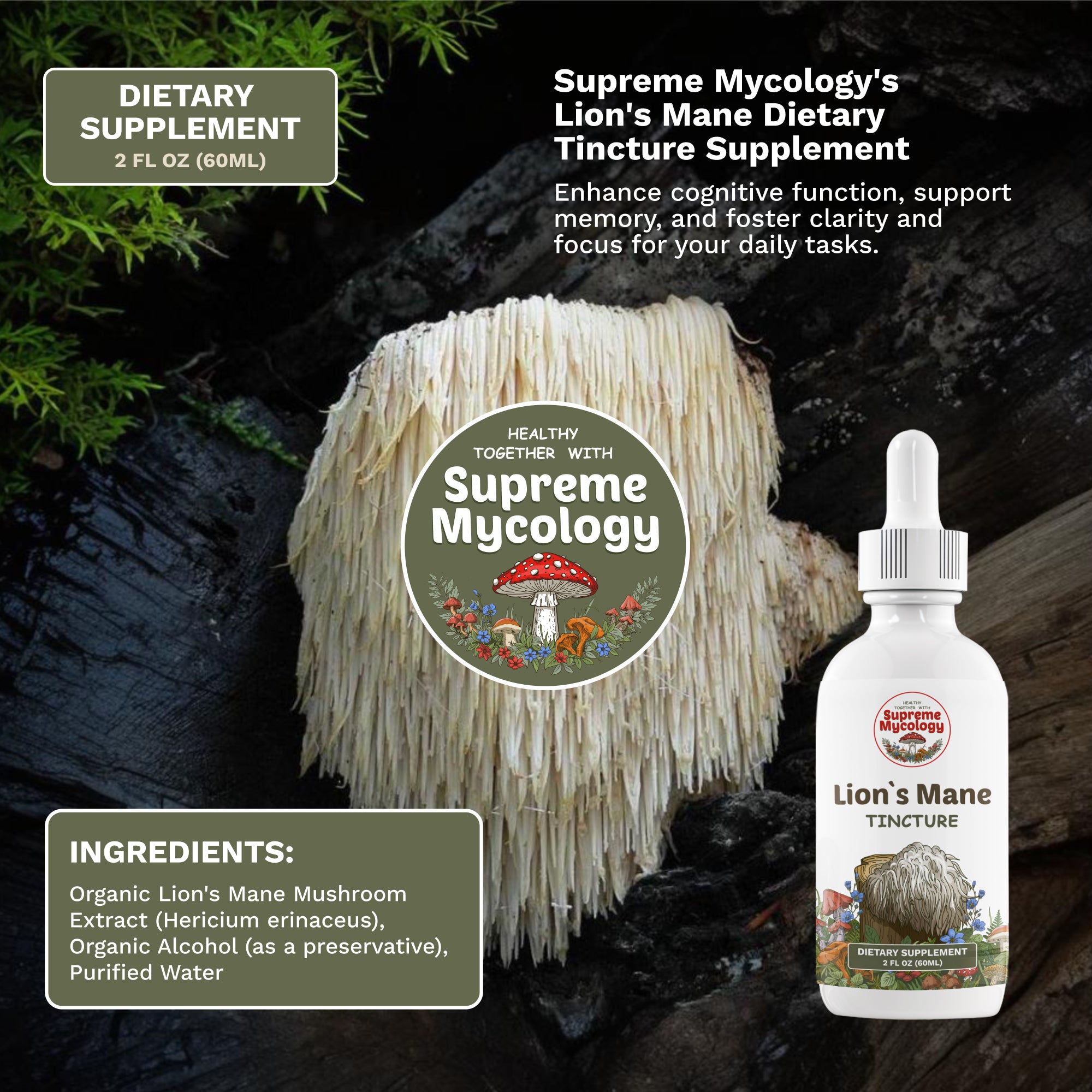 Mushroom Mastery Tincture Pack | Lion's Mane, Cordyceps & Reishi | 3 x 2oz