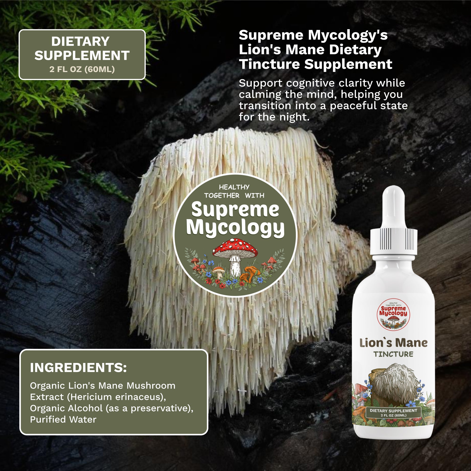 Serenity Night Tincture Pack | Reishi & Lion's Mane | 2 x 2oz | Evening Recovery
