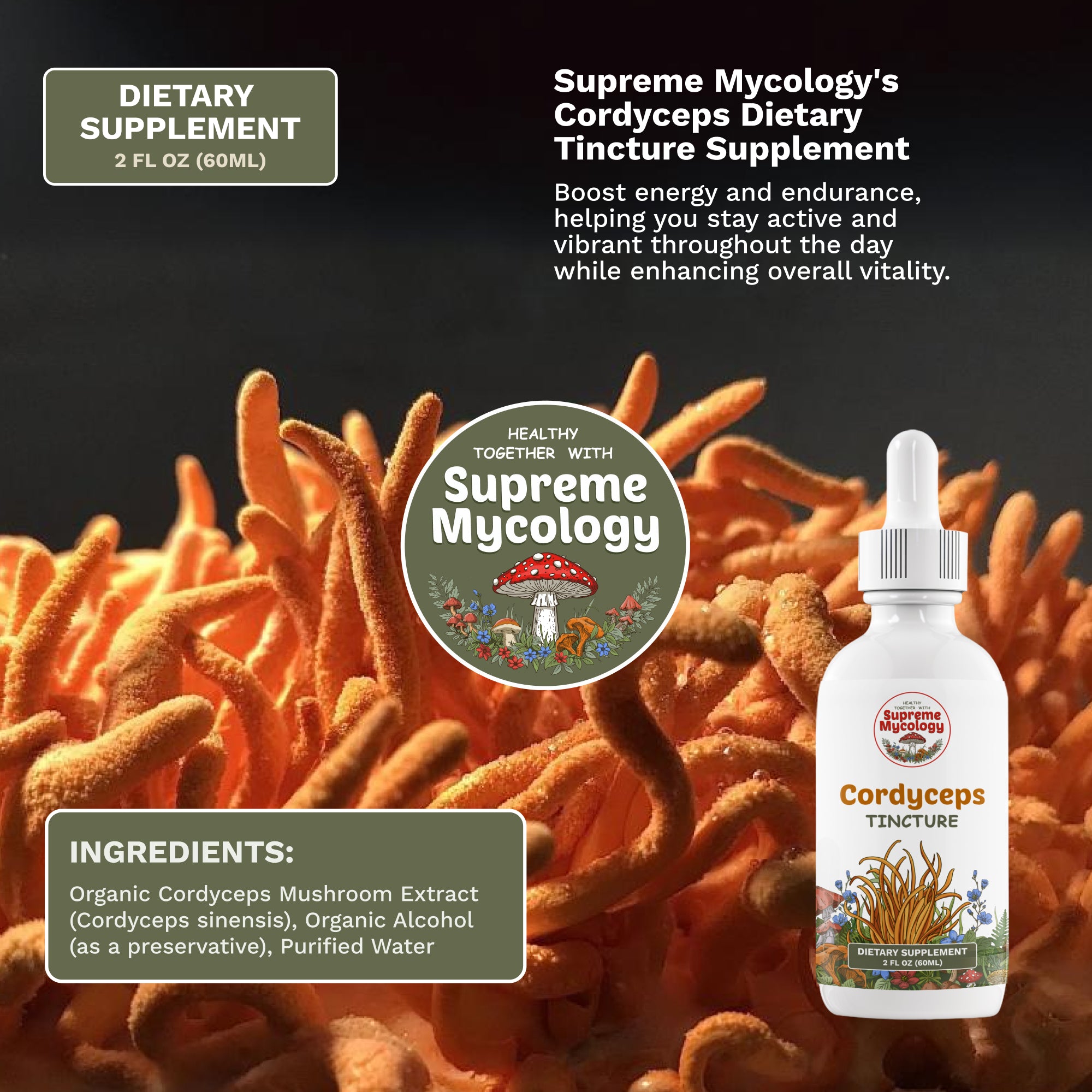 Full Spectrum Collection Pack | 6 Mushroom Tinctures | 6 x 2oz