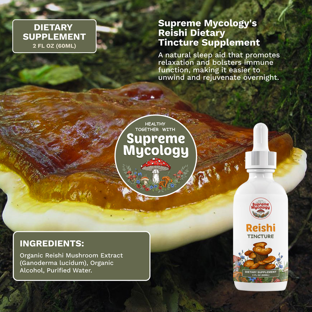 Serenity Night Tincture Pack | Reishi & Lion's Mane | 2 x 2oz | Evening Recovery