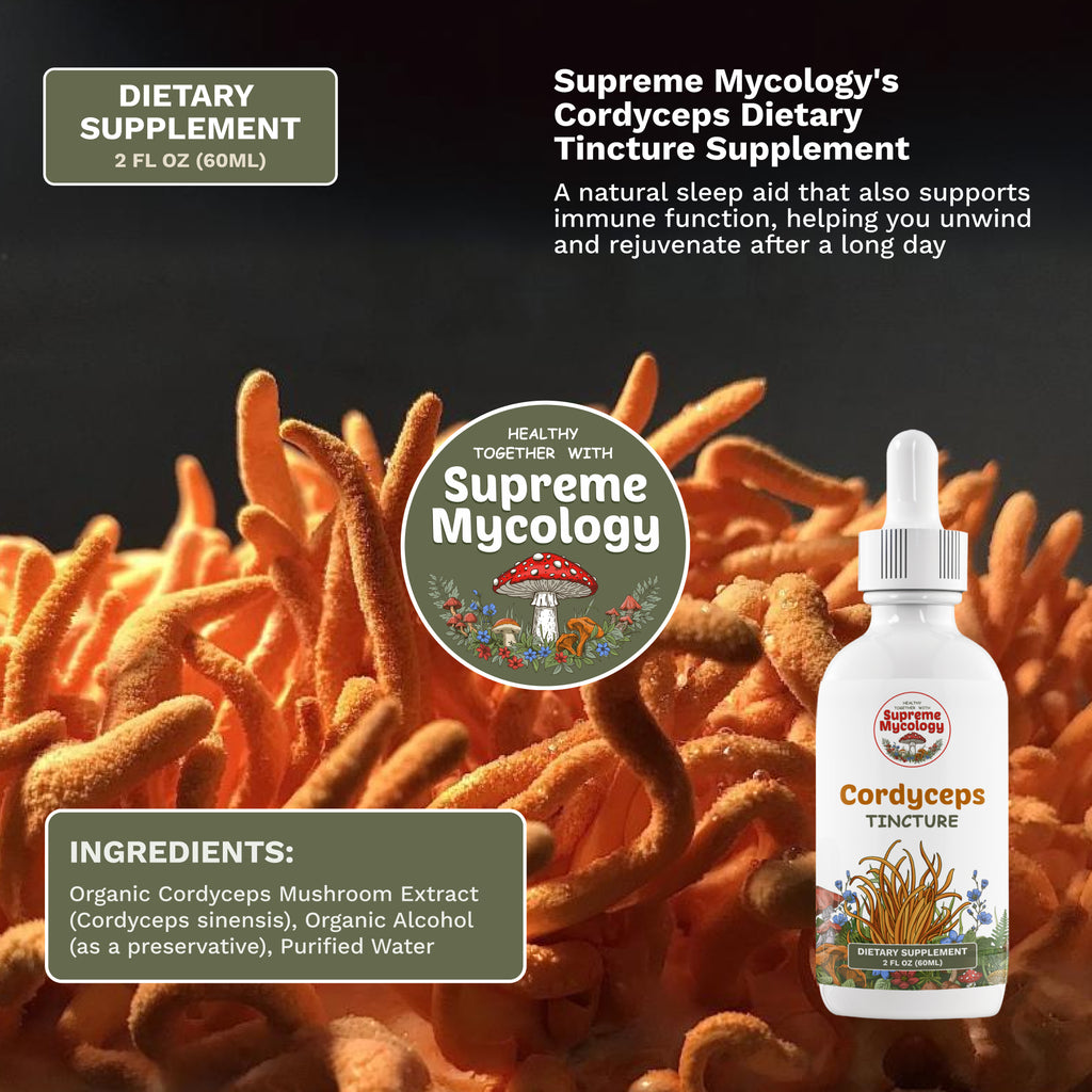 Mushroom Mastery Tincture Pack | Lion's Mane, Cordyceps & Reishi | 3 x 2oz