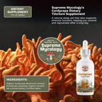 Mushroom Mastery Tincture Pack | Lion's Mane, Cordyceps & Reishi | 3 x 2oz