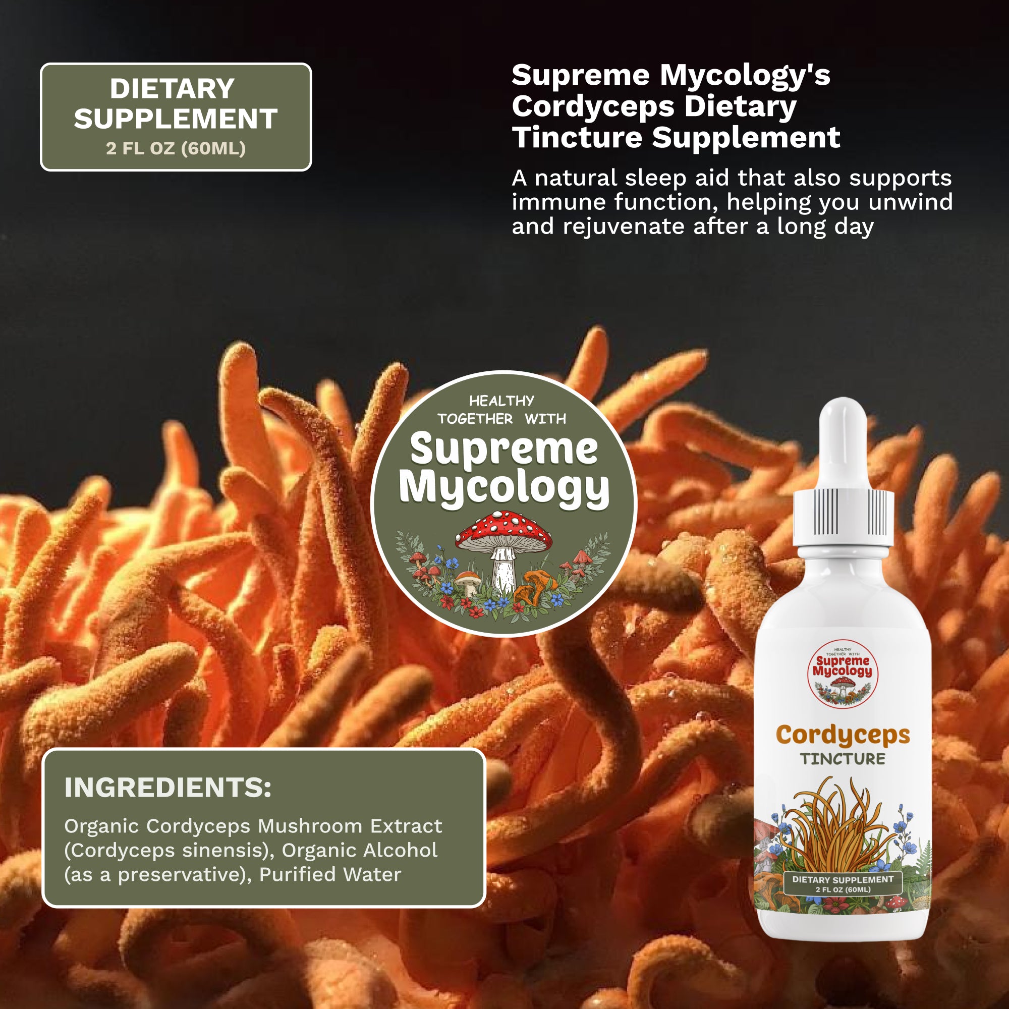 Mushroom Mastery Tincture Pack | Lion's Mane, Cordyceps & Reishi | 3 x 2oz