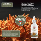 The Ultimate Wellness Trio Pack | Lion's Mane, Cordyceps & Chaga | 3 x 2oz