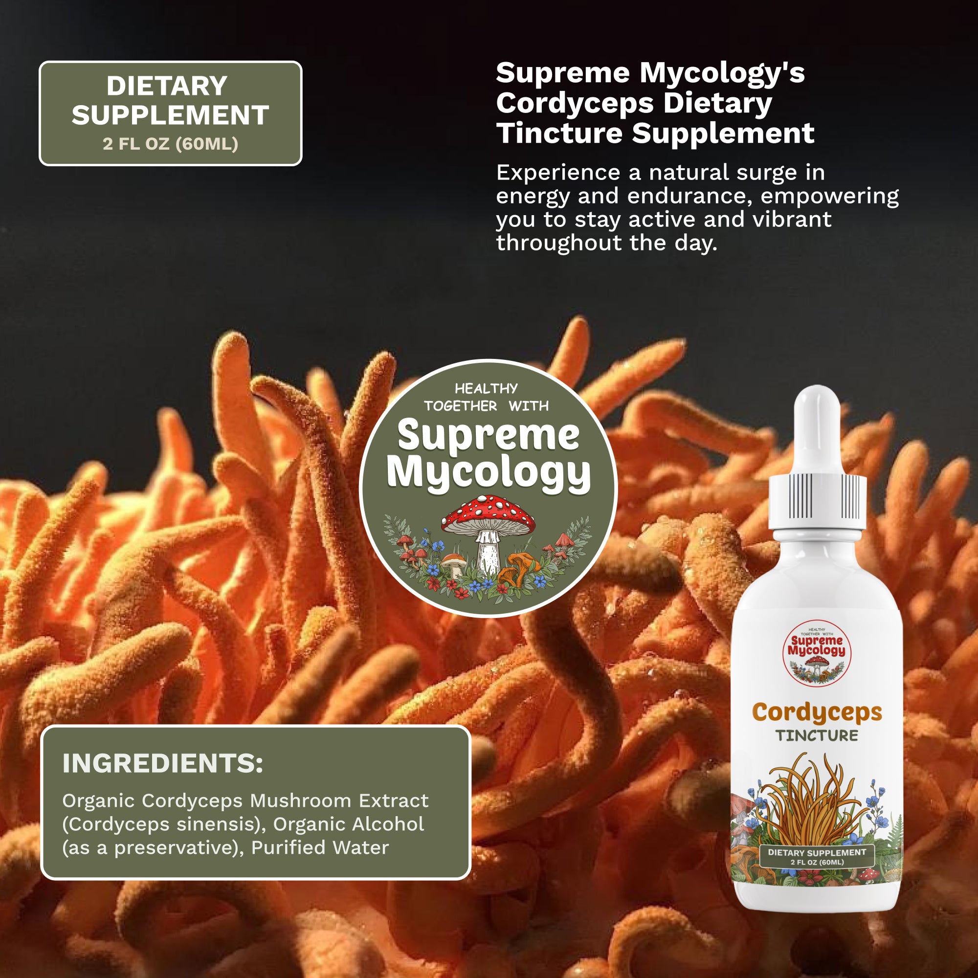 The Ultimate Wellness Trio Pack | Lion's Mane, Cordyceps & Chaga | 3 x 2oz