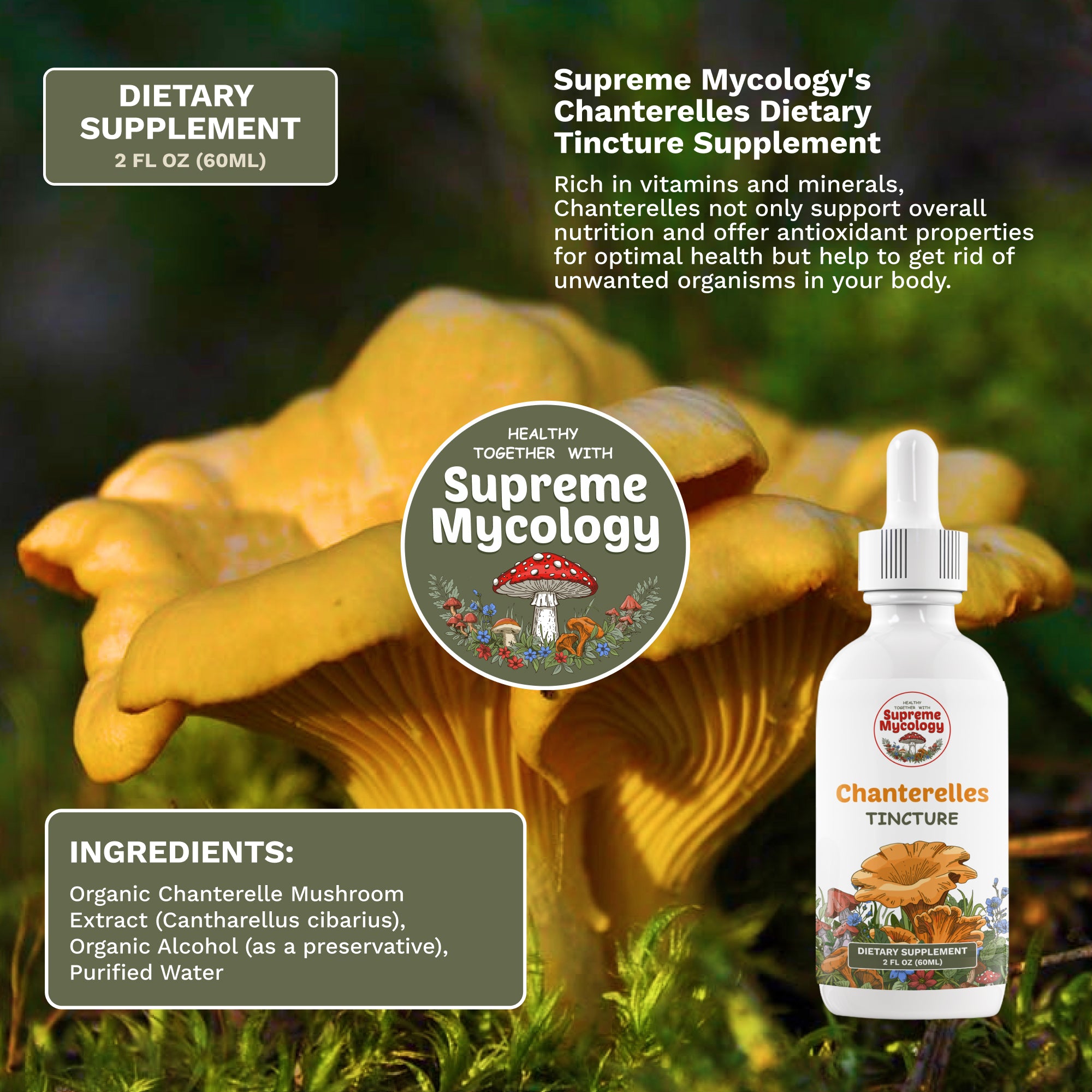 Full Spectrum Collection Pack | 6 Mushroom Tinctures | 6 x 2oz