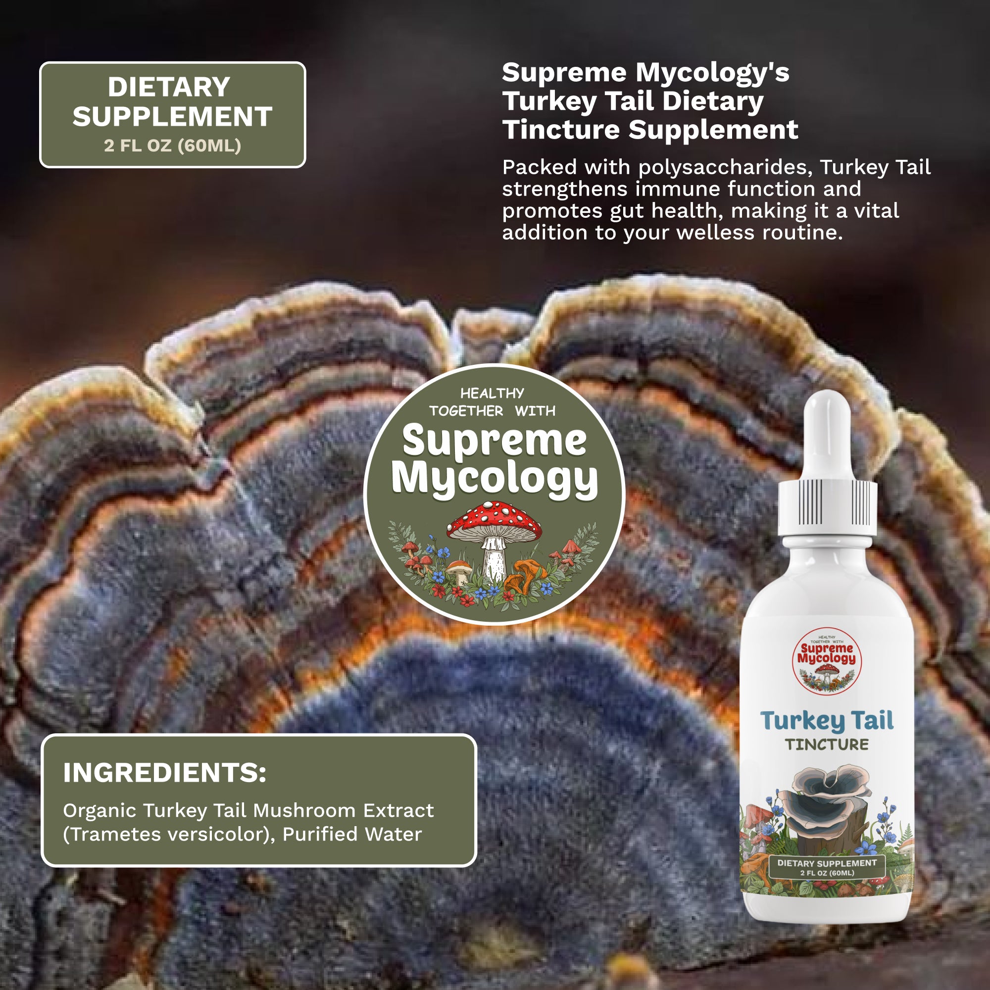 Full Spectrum Collection Pack | 6 Mushroom Tinctures | 6 x 2oz