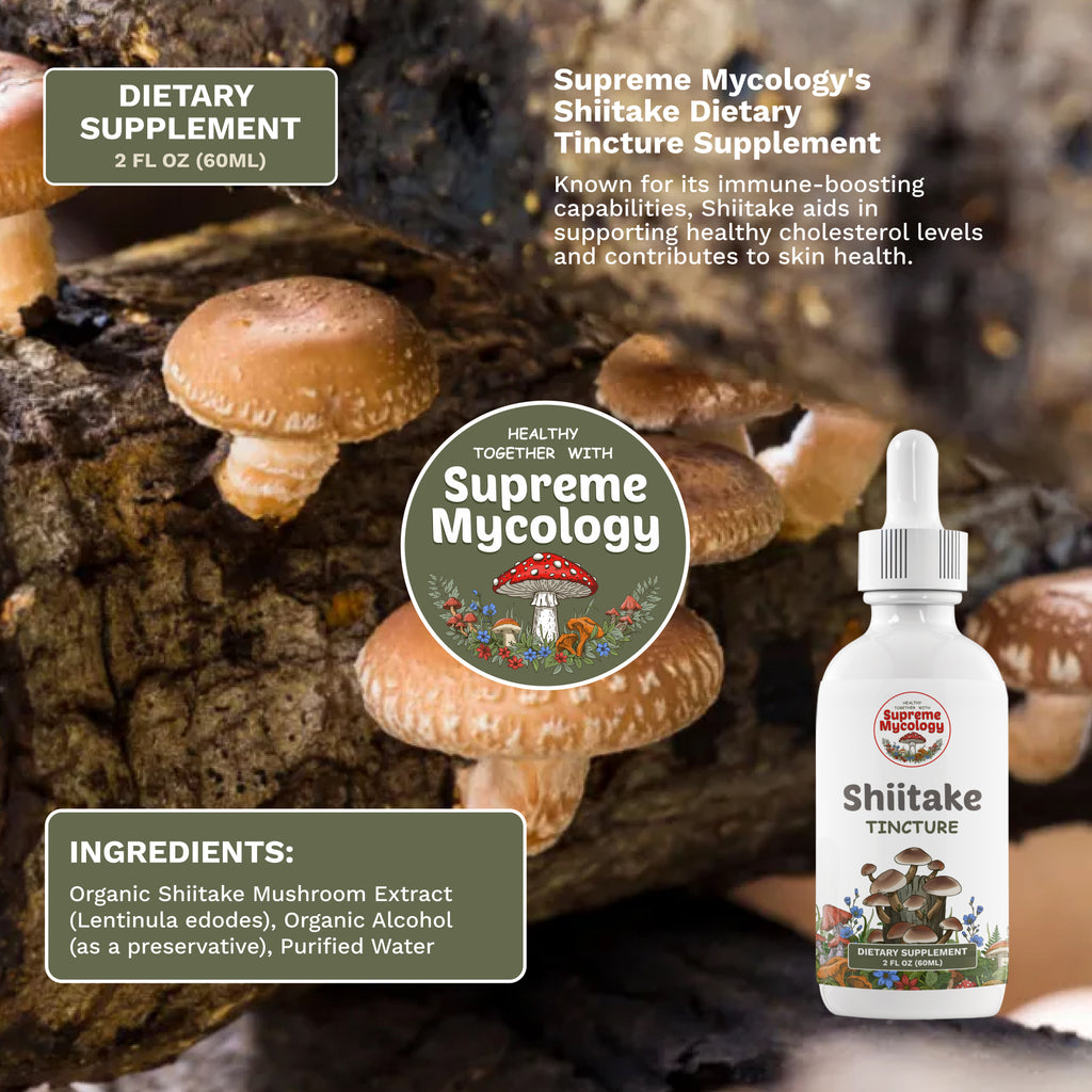 Full Spectrum Collection Pack | 6 Mushroom Tinctures | 6 x 2oz