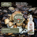 Organic Agaricus Blazei Extracted Mushroom Tincture
