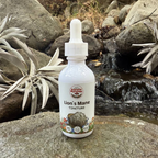 Organic Lion's Mane Extracted Mushroom Tincture