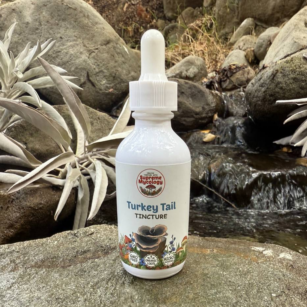 Organic Turkey Tail Extracted Mushroom Tincture