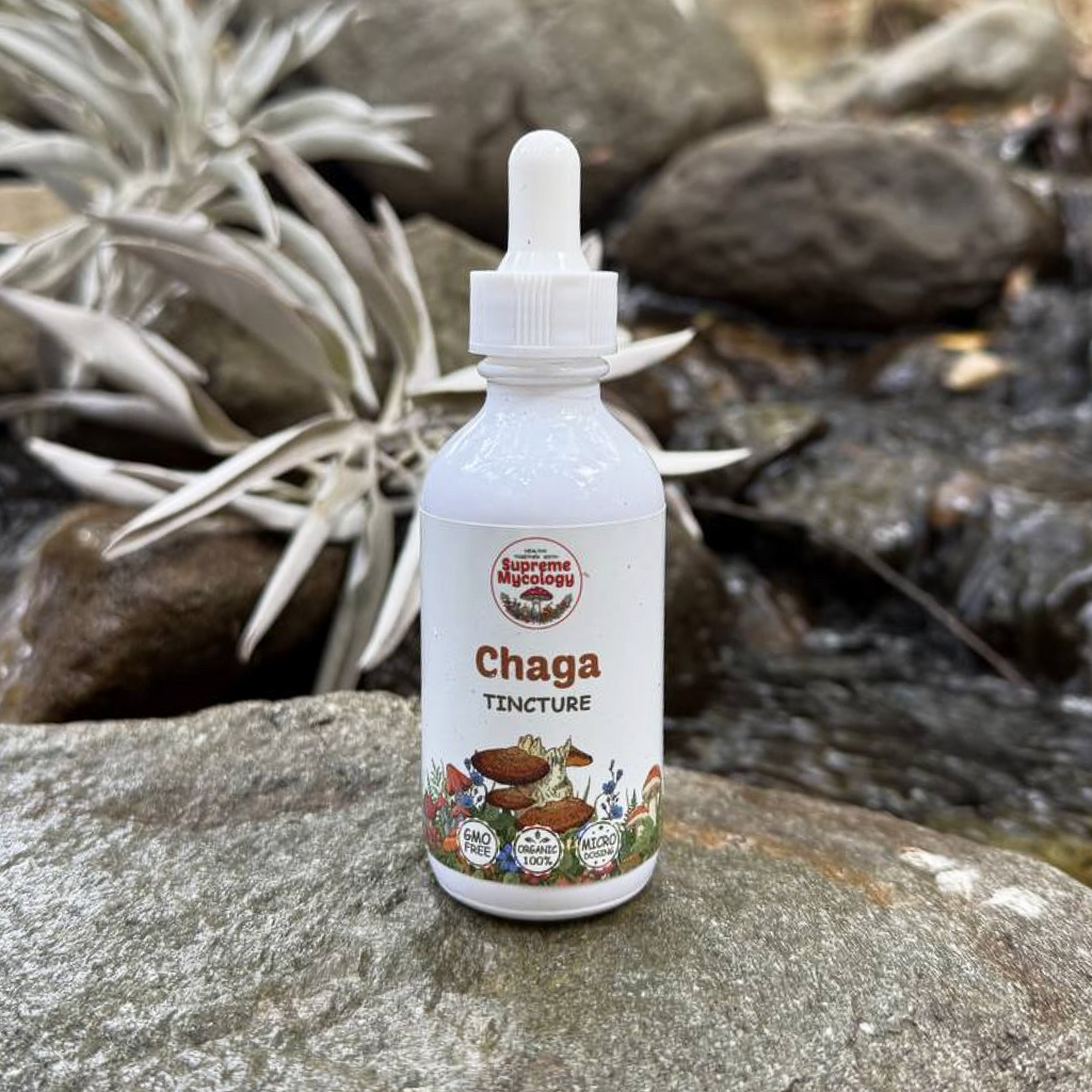 Organic Chaga Extracted Mushroom Tincture