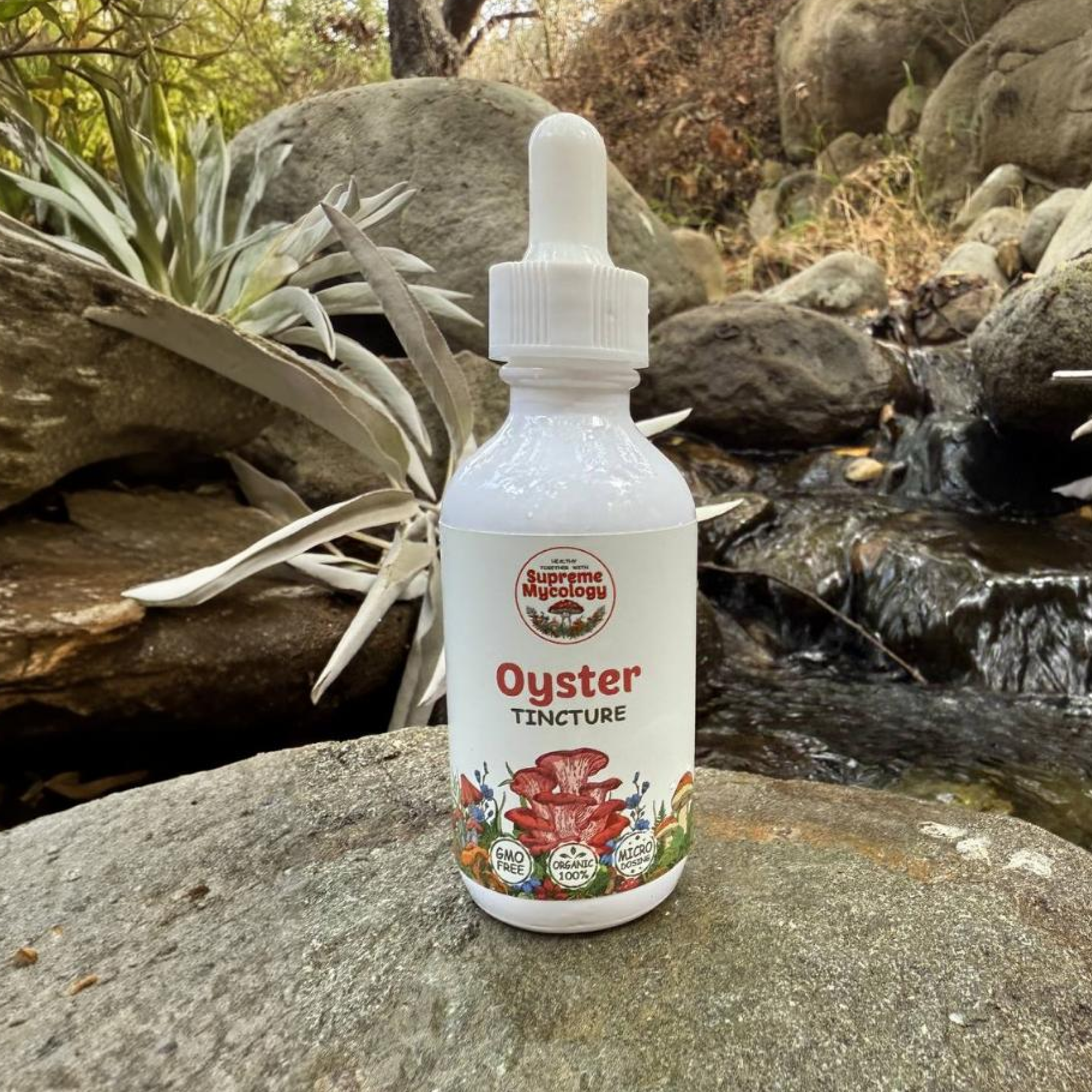 Organic Oyster Extracted Mushroom Tincture