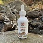 Organic Agaricus Blazei Extracted Mushroom Tincture