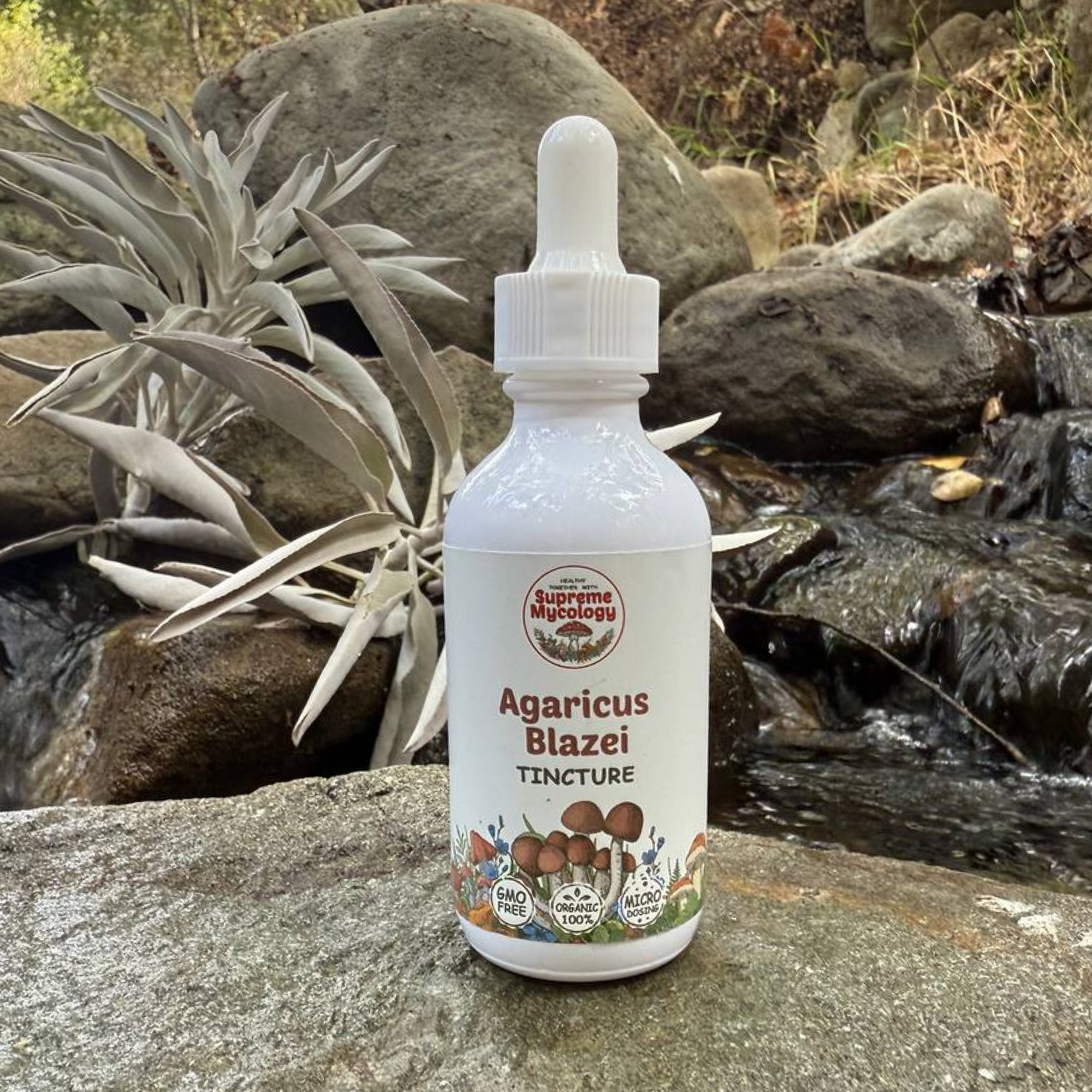 Organic Agaricus Blazei Extracted Mushroom Tincture